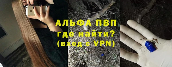 стаф Абдулино