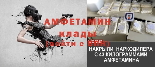 стаф Абаза