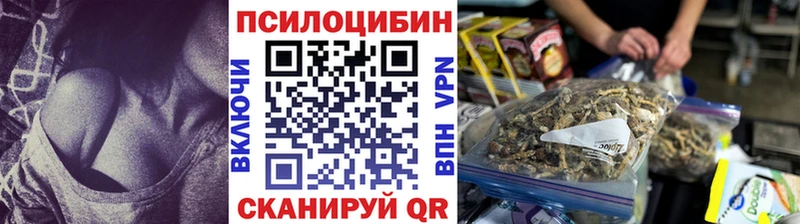 купить наркотик  гидра зеркало  Псилоцибиновые грибы ЛСД  Ирбит 